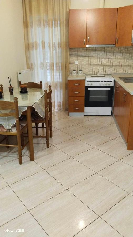 דירות טריקלה Ομορφο Διαμερισμα Στο Κεντρο Της Πολης Με Παρκιν מראה חיצוני תמונה