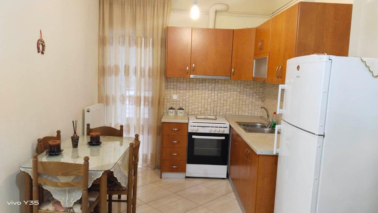 דירות טריקלה Ομορφο Διαμερισμα Στο Κεντρο Της Πολης Με Παρκιν מראה חיצוני תמונה
